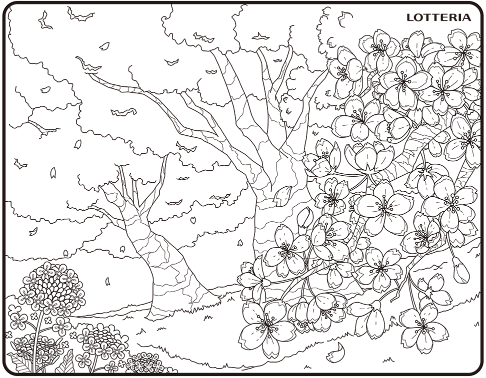春を先取り！桜満開メニュー＆ぬりえフォトコンテスト！｜LOTTERIA